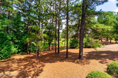 Other - 25 Wellington Dr, Pinehurst, NC 28374 photo 15 of 16