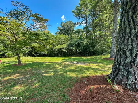 Tbd Old Us Hwy 701, Clinton, NC 28328