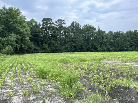 4834 Us 264 Hwy W, Washington, NC 27889