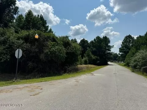 lot17 Welsh Landing Dr, Willard, NC 28478