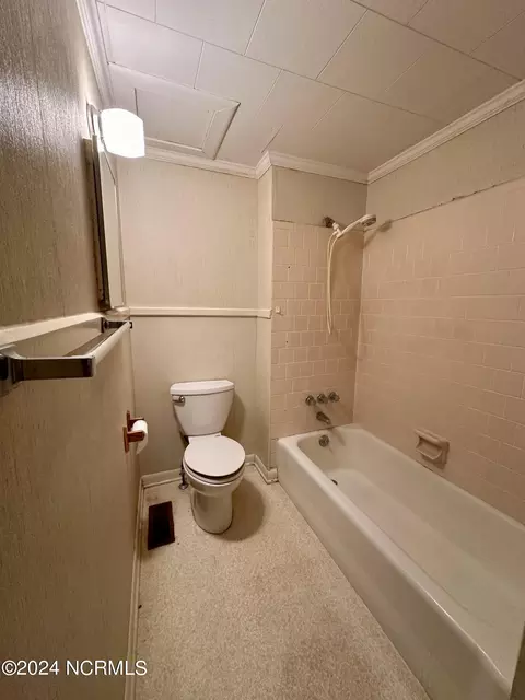 607 Smith Chapel Rd, Mount Olive, NC 28365 photo 9