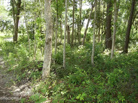 135 E High Bluff Dr, Hampstead, NC 28443 photo 4
