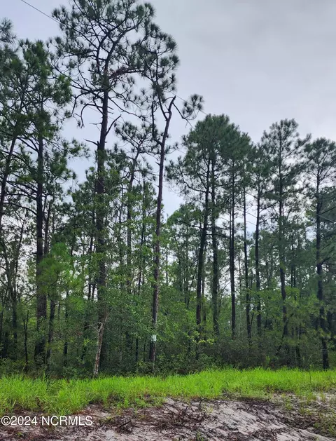 Tr-45 Cactus Road, Boiling Spring Lakes, NC 28461