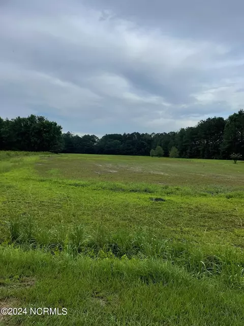 6134 Dave Bright Rd, Turkey, NC 28393
