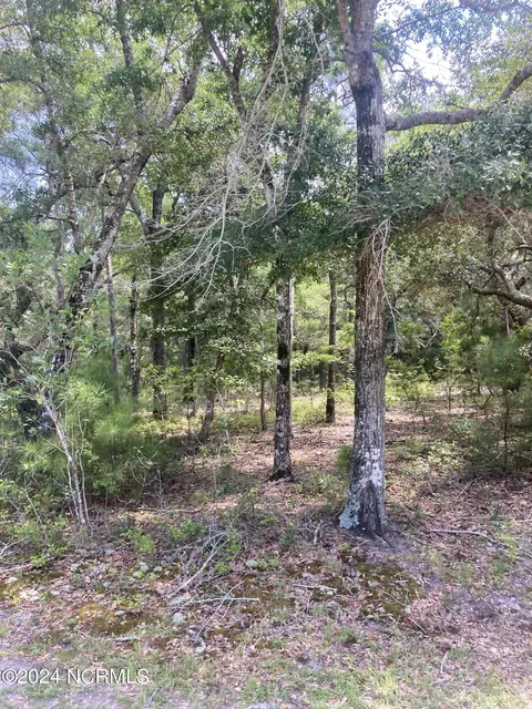 2027 Bluefin Ter SW, Supply, NC 28462
