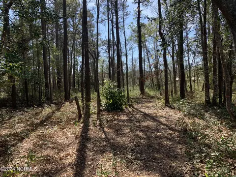1035 Stanbury Rd SW, Supply, NC 28462