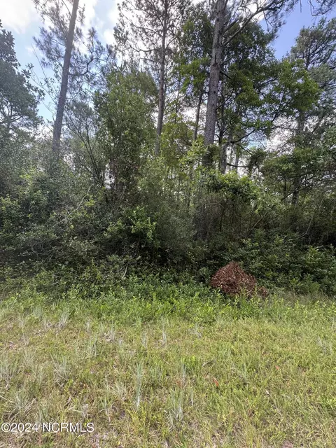 1120 Beech Rd, Boiling Spring Lakes, NC 28461 photo 3