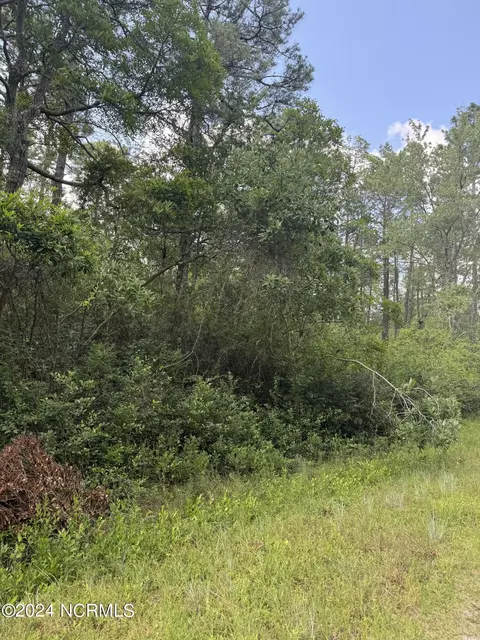 1120 Beech Rd, Boiling Spring Lakes, NC 28461