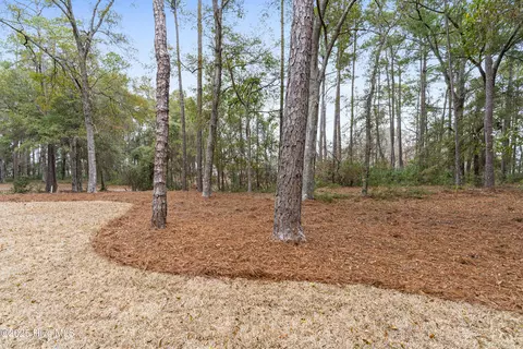 Exterior - 3454 Eagle Crest Dr SW, Supply, NC 28462 photo 6 of 11