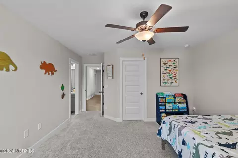 283 Warbler Way, Hampstead, NC 28443 photo 68