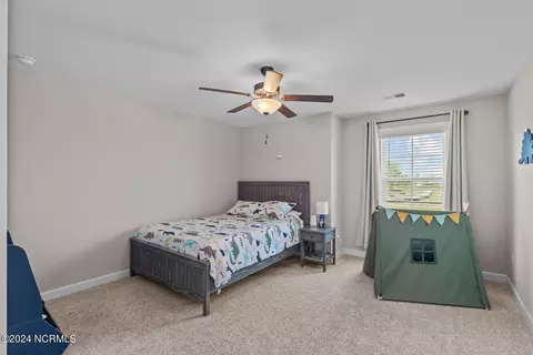 283 Warbler Way, Hampstead, NC 28443 photo 67