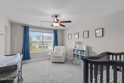 283 Warbler Way, Hampstead, NC 28443 photo 44