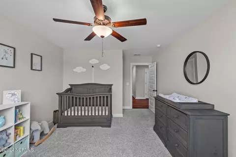 283 Warbler Way, Hampstead, NC 28443 photo 43