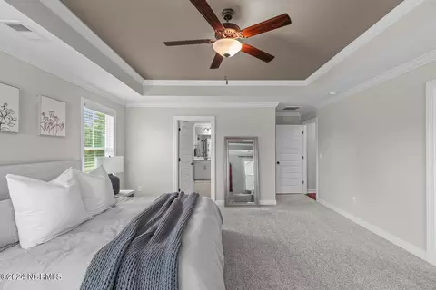 283 Warbler Way, Hampstead, NC 28443 photo 61