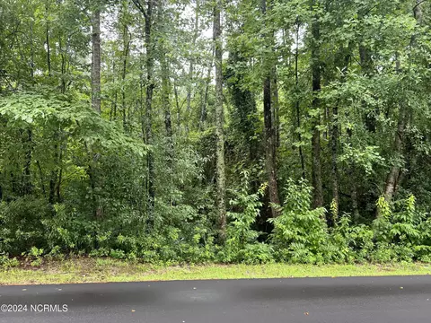 75 Lake View Dr E, Pinehurst, NC 28374 photo 1