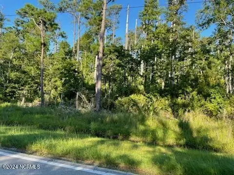 736 Marshallberg Rd, Marshallberg, NC 28553 photo 3