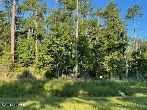 736 Marshallberg Rd, Marshallberg, NC 28553 photo 2
