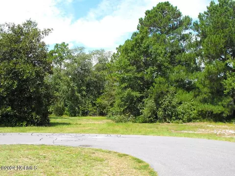 99 Blue Heron Dr, Harrells, NC 28444
