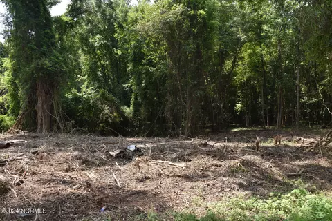 0 Sr 1746, Bath, NC 27808 photo 14
