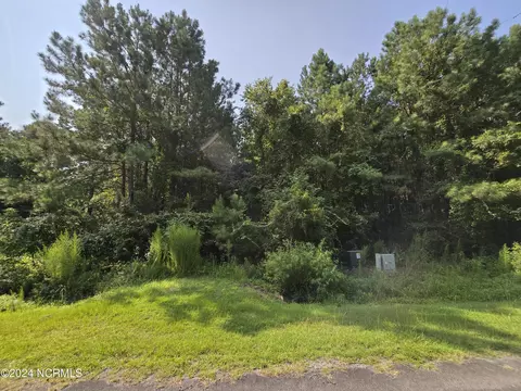 lot51 Tarpon Point Rd, Bath, NC 27808 photo 2