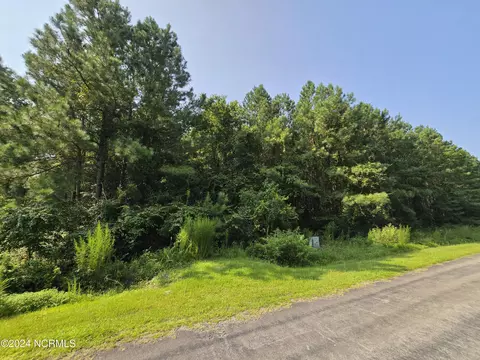 lot51 Tarpon Point Rd, Bath, NC 27808 photo 3