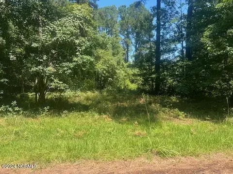 0 Pine Ln, Whiteville, NC 28472
