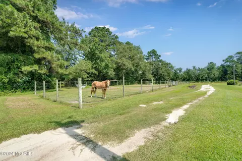 Other - 3270 Watha Rd, Willard, NC 28478 photo 10 of 10