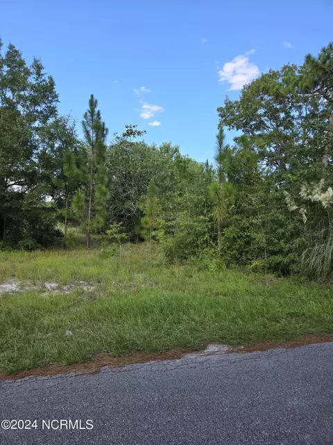 L-22 Frink Lake Drive, Boiling Spring Lakes, NC 28461