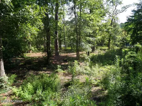 111 Pineview Dr, Oriental, NC 28571 photo 14