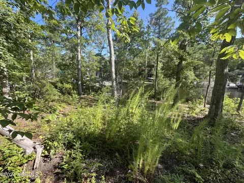 111 Pineview Dr, Oriental, NC 28571 photo 10
