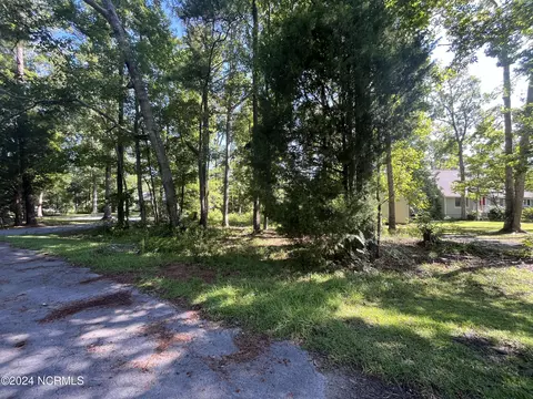 111 Pineview Dr, Oriental, NC 28571 photo 8