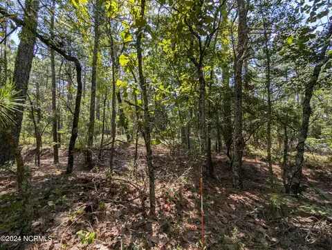 445 Thimbleberry Dr, Vass, NC 28394