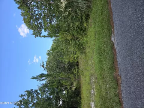 L-21 Frink Lake Drive, Boiling Spring Lakes, NC 28461