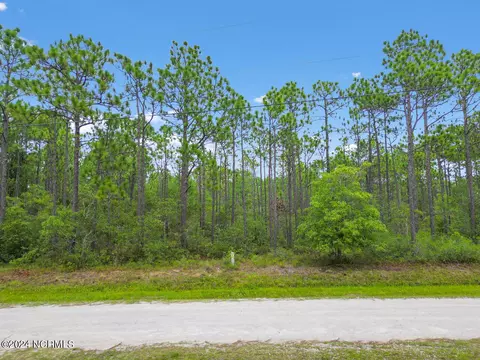 lot414 Bridges Rd, Boiling Spring Lakes, NC 28461