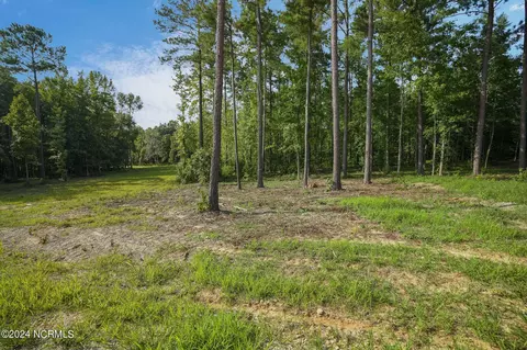 275 Old Eason Rd, Zebulon, NC 27597