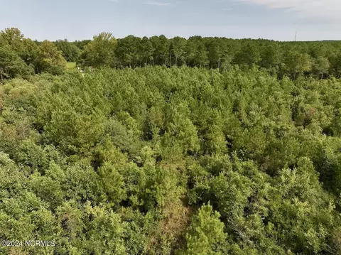 0 Davis Rd, Richlands, NC 28574 photo 28