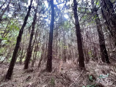 0 Davis Rd, Richlands, NC 28574 photo 31