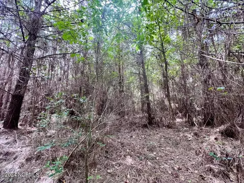 0 Davis Rd, Richlands, NC 28574 photo 30