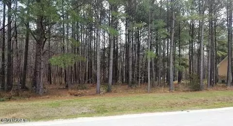 67 Iris Way, Hampstead, NC 28443 photo 2