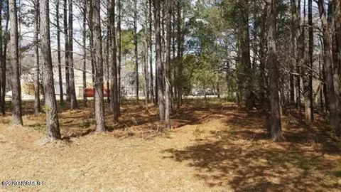 67 Iris Way, Hampstead, NC 28443 photo 3