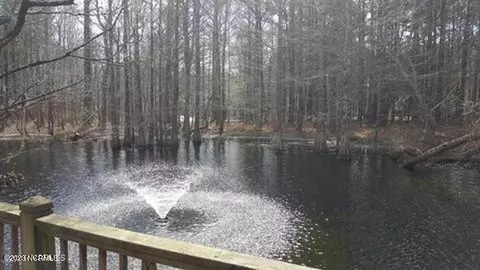 67 Iris Way, Hampstead, NC 28443 photo 8