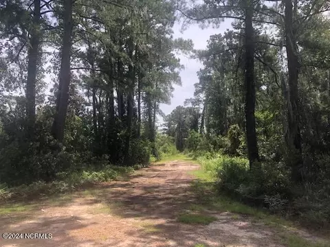 3 Whichards Beach Rd, Chocowinity, NC 27817 photo 10