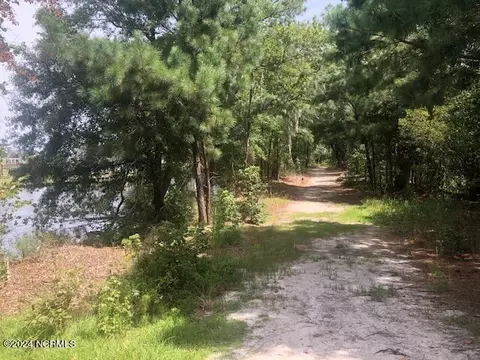 3 Whichards Beach Rd, Chocowinity, NC 27817 photo 8