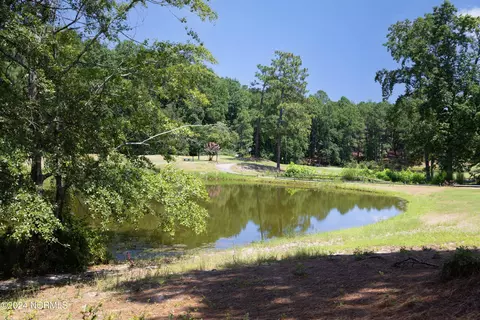 169 Devonshire Ave W, West End, NC 27376 photo 48