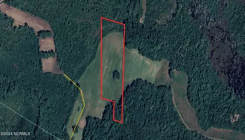 tbd Pocosin Rd, Council, NC 28434