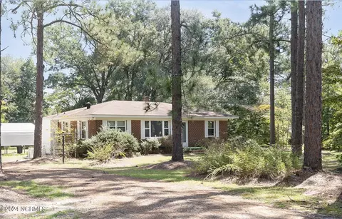 319 Old Gibson Rd, Hamlet, NC 28345