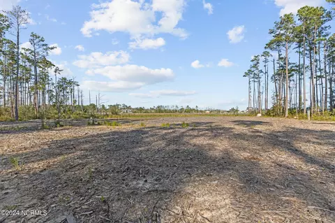 280 Donnie Davis Rd, Williston, NC 28589 photo 4