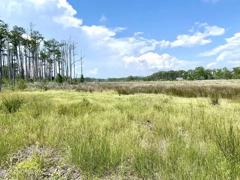 280 Donnie Davis Rd, Williston, NC 28589 photo 17