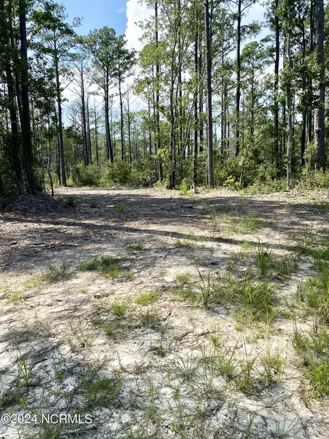 280 Donnie Davis Rd, Williston, NC 28589 photo 11