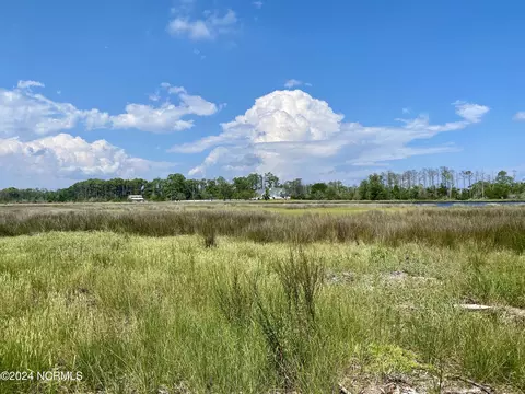 280 Donnie Davis Rd, Williston, NC 28589 photo 14